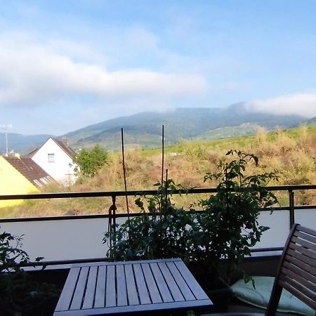 Au Coeur Du Vignoble Apartment Kaysersberg-Vignoble Bagian luar foto