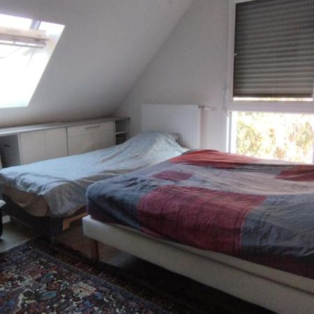 Au Coeur Du Vignoble Apartment Kaysersberg-Vignoble Bagian luar foto